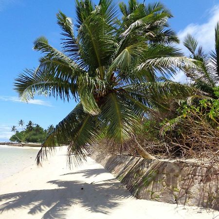 HCS Bungalows Turtle Bay Rustic Bungalow Au Cap Bagian luar foto