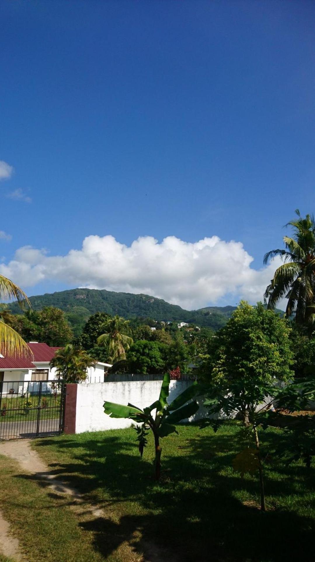 HCS Bungalows Turtle Bay Rustic Bungalow Au Cap Bagian luar foto