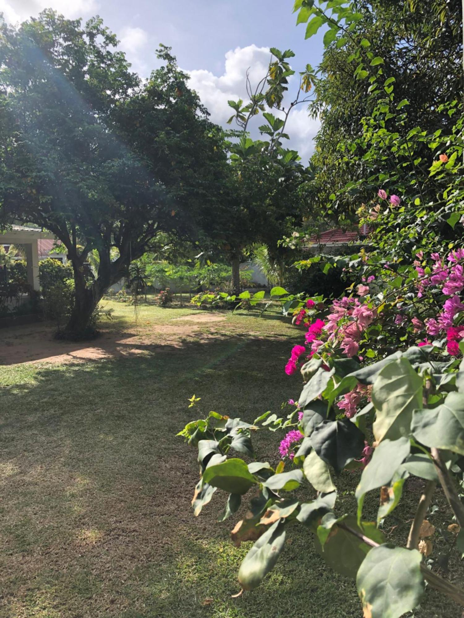 HCS Bungalows Turtle Bay Rustic Bungalow Au Cap Bagian luar foto