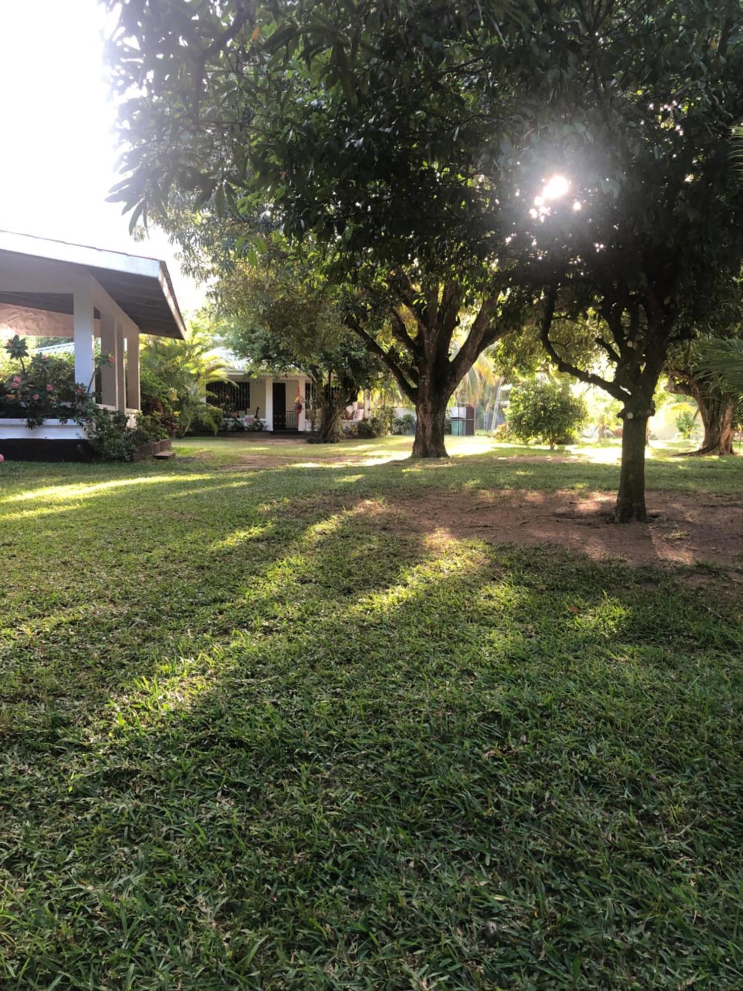 HCS Bungalows Turtle Bay Rustic Bungalow Au Cap Bagian luar foto