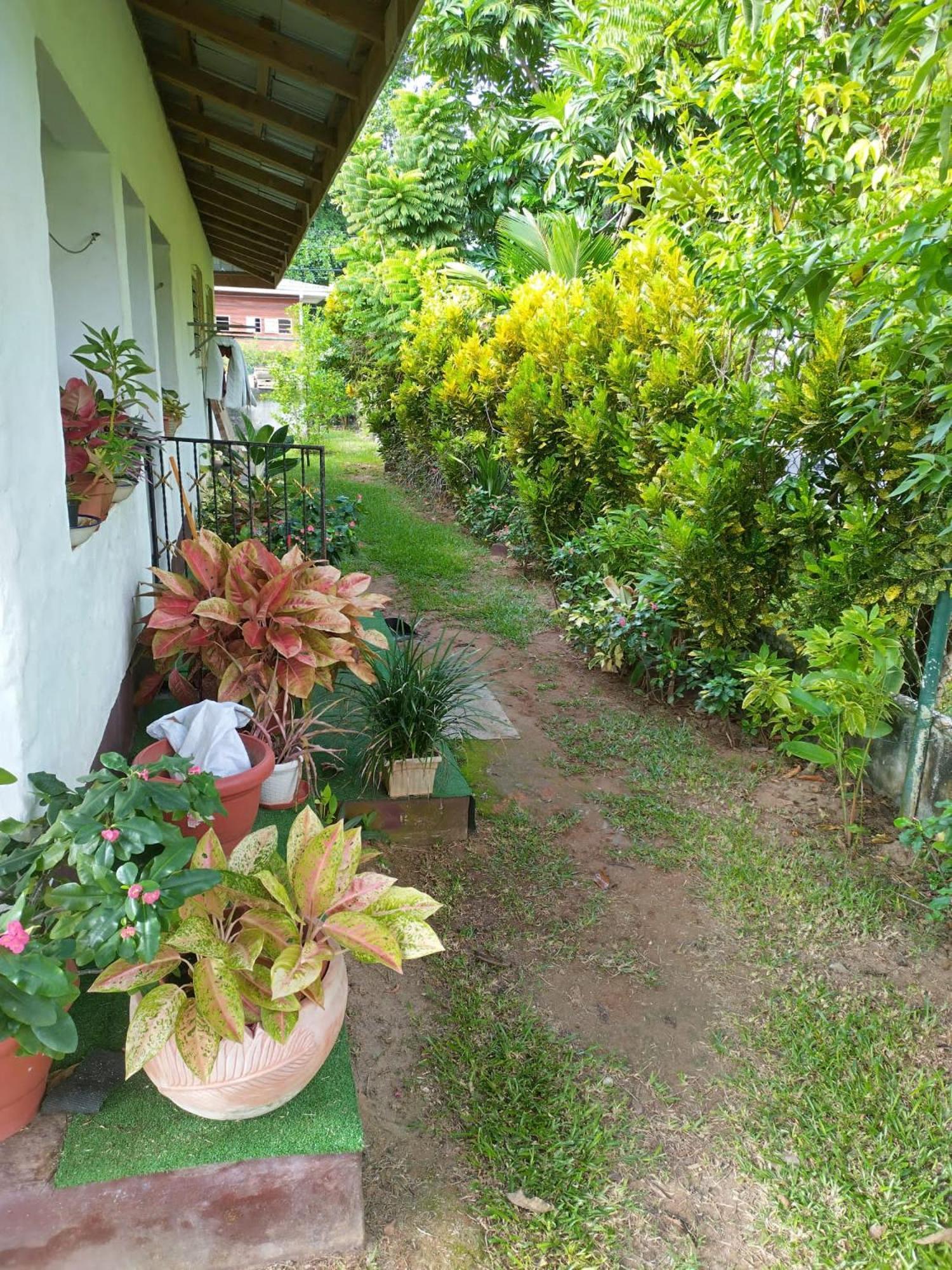 HCS Bungalows Turtle Bay Rustic Bungalow Au Cap Bagian luar foto